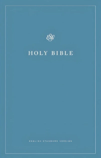 Bible Economy Paperback