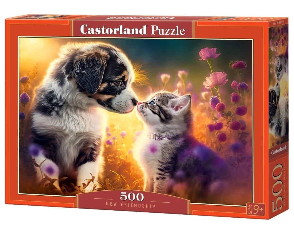 500 Piece New Friendship