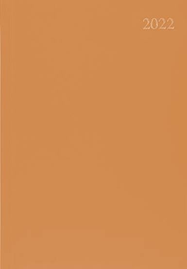 2026 A5 Page - a - Day Diary: Orange