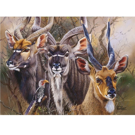 1500 Piece Bushveld Splendour