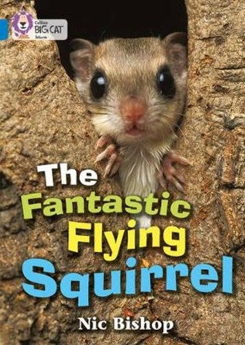 The Fantastic Flying Squirrel