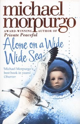 Alone on a Wide Wide Sea
