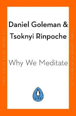 Why We Meditate