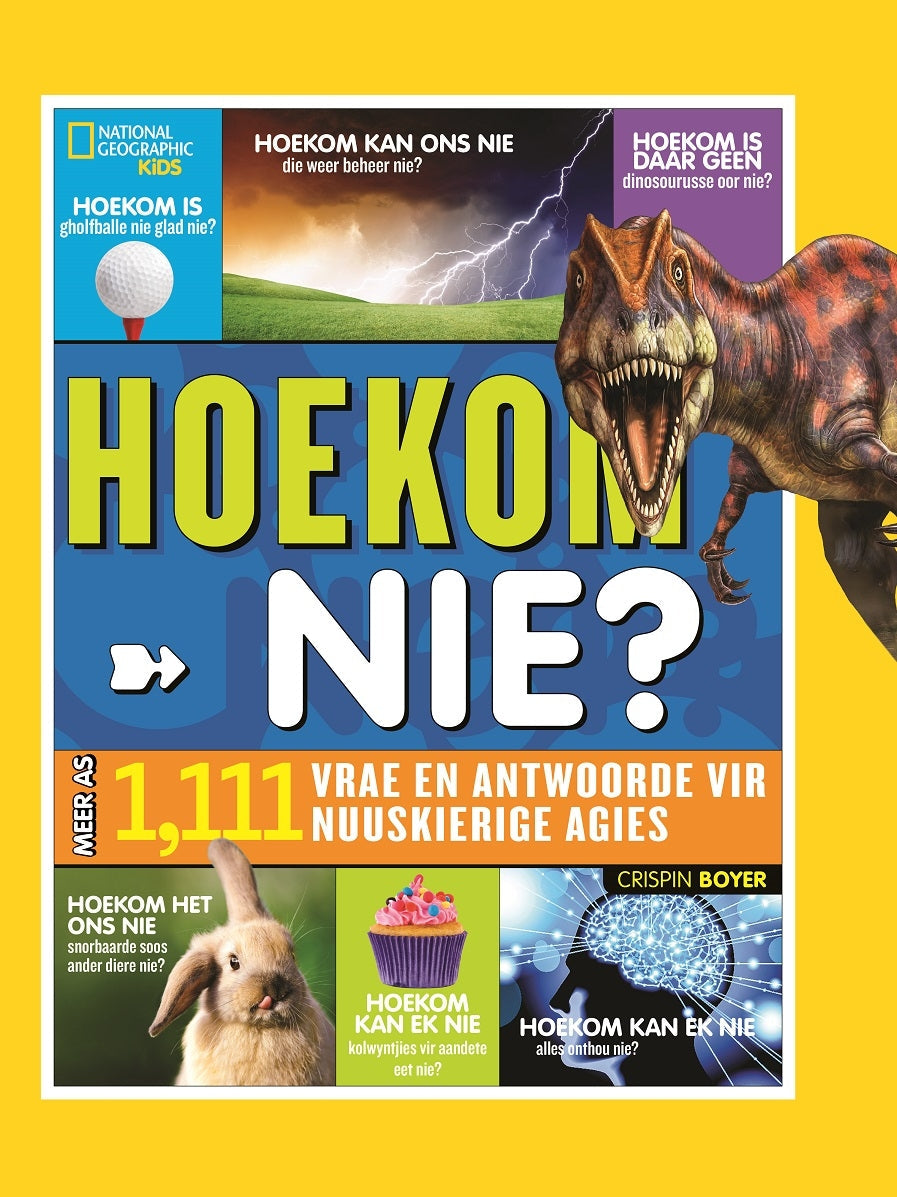 Hoekom nie?