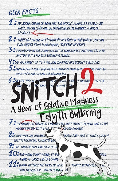 Snitch 2: A Year of Relative Madness