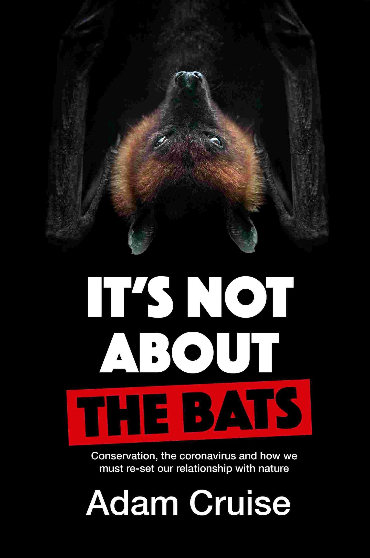 It's Not About the Bats