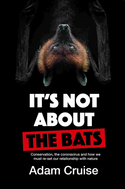 It's Not About the Bats