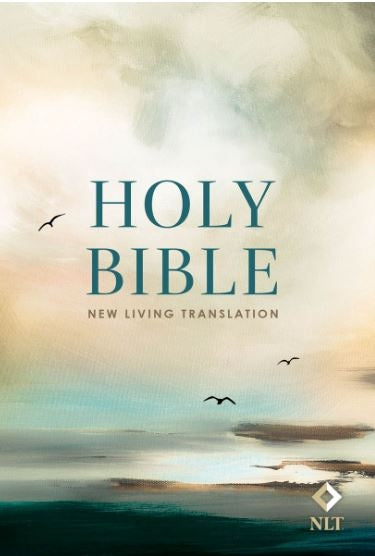 Bible NLT Morning Sky Paperback Handy Size