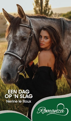 Een dag op 'n slag
