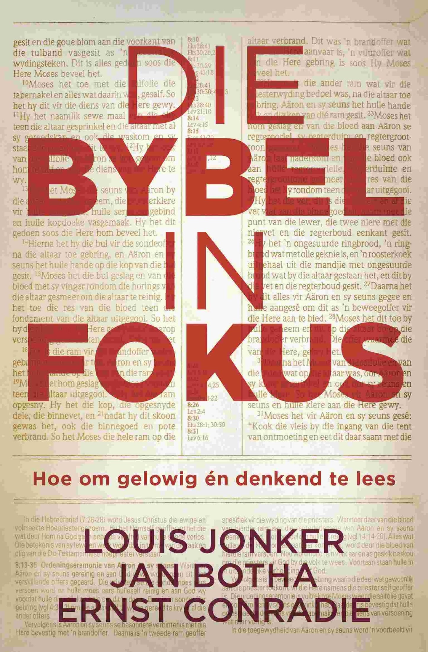 Die Bybel in fokus