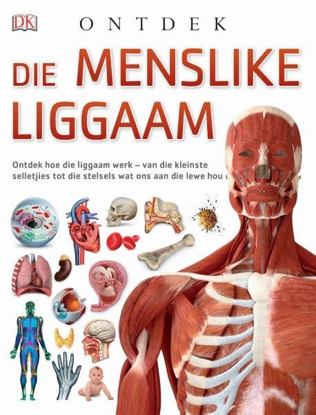 Ontdek: Die menslike liggaam