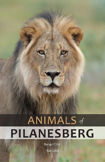 Animals Of Pilanesberg