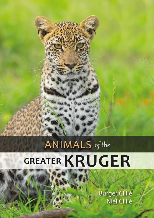 Animals of the Greater Kruger