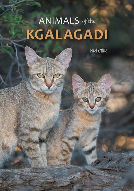 Animals of the Kgalagadi