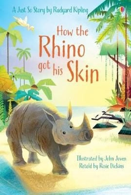 Rhino Got His Skin:1st Reading Level 1