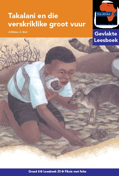 Via Afrika Leesboek 28: Graad 6 Takalani en die verskriklike groot vuur