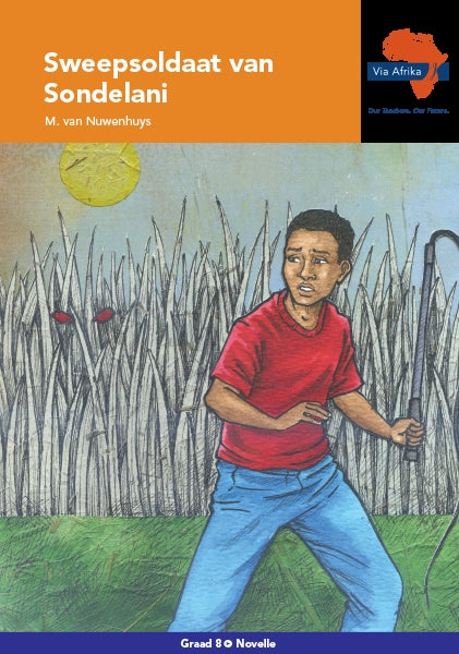Via Afrika Afrikaans EAT Graad 8 Novelle: Sweepsoldaat van Sondelani