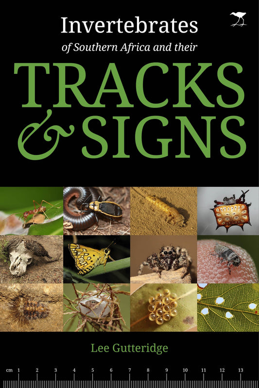 Invertebrates of Southern Africa and their Tracks & Signs