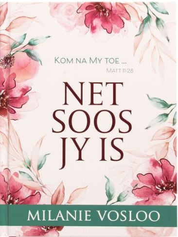 Net soos jy is