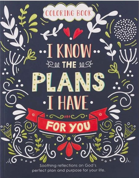 I Know The Plans Coloring Book (Paperback)
