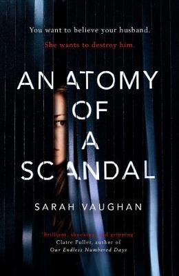 Anatomy  of a Scandal