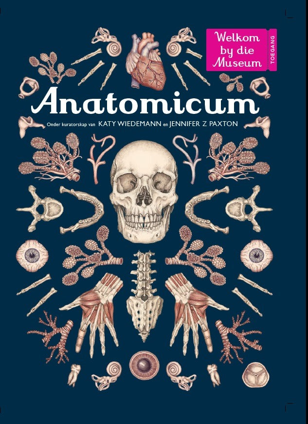 Anatomicum