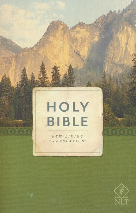 Bible NLT Economy Outreach