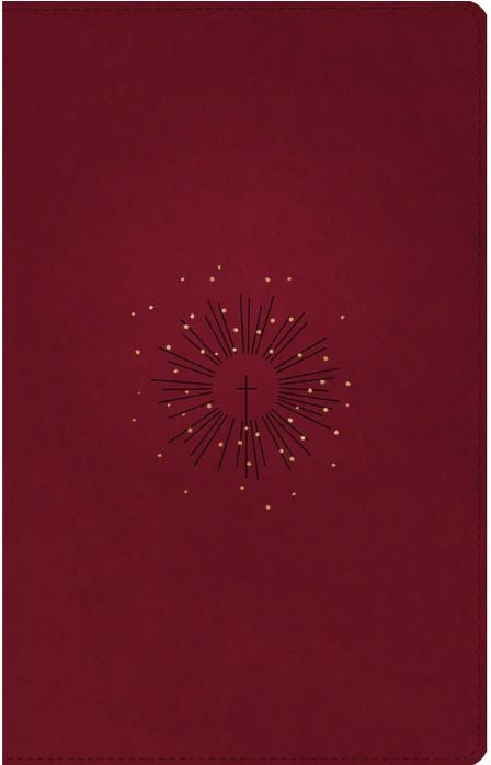 Bible NLT Filament Thinline Reference Red Letter Aurora Cranberry