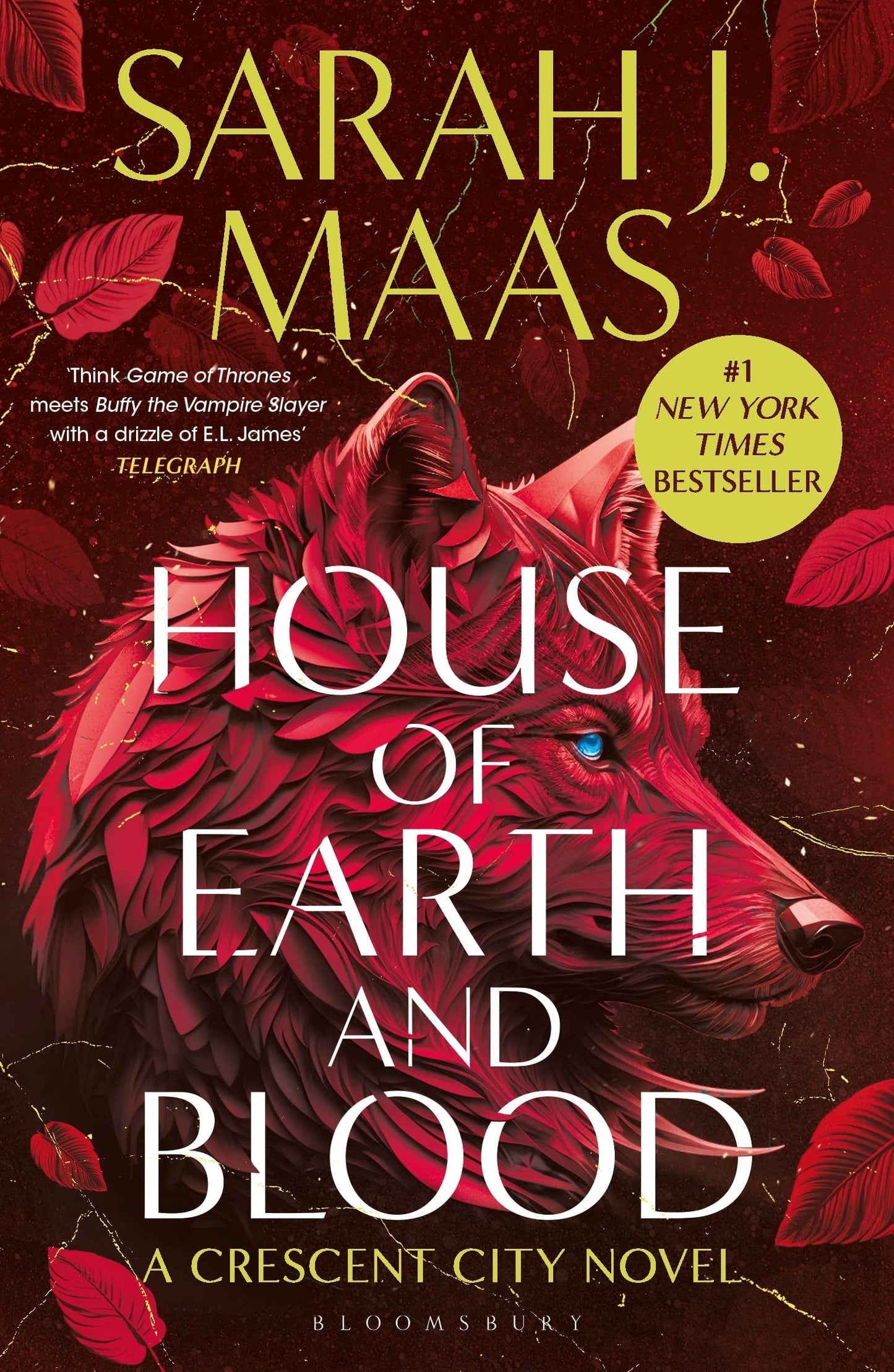 Crescent City 01: House of Earth and Blood