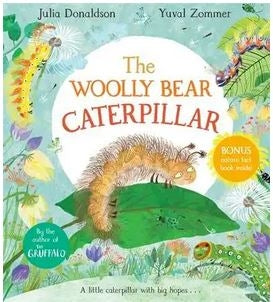 The Woolly Bear Caterpillar