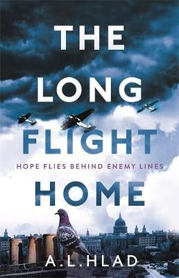 The Long Flight