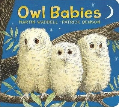 Owl Babies