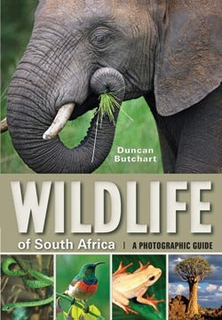Wildlife of South Africa A Photographic Guide