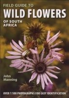 Wild Flowers of South Africa