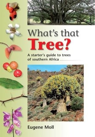 What's that tree