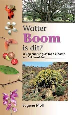 Watter boom is dit? 'n Beginner se gids tot bome in Suid-Afrika