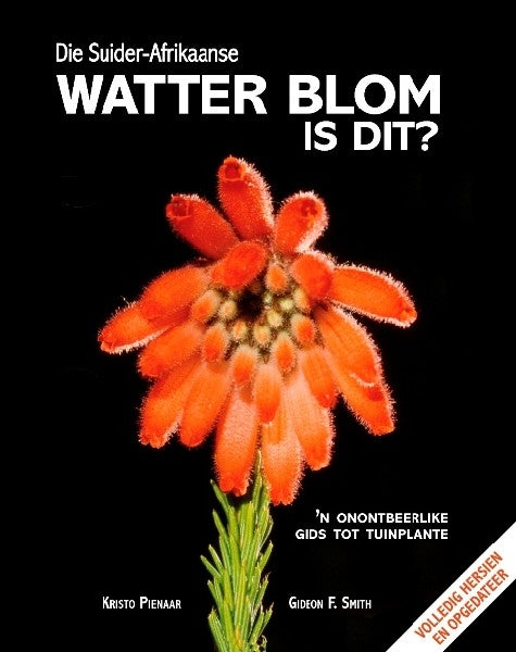 Die Suider-Afrikaanse Watter blom is dit?