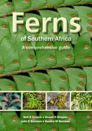 Ferns of Southern Africa - A Comprehensive Guide