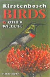 Kirstenbosch Birds & other Wildlife
