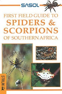 First Field Guide to Spiders and Scorpions of Southern Africa
