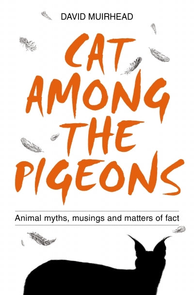 Cat Among the Pigeons
