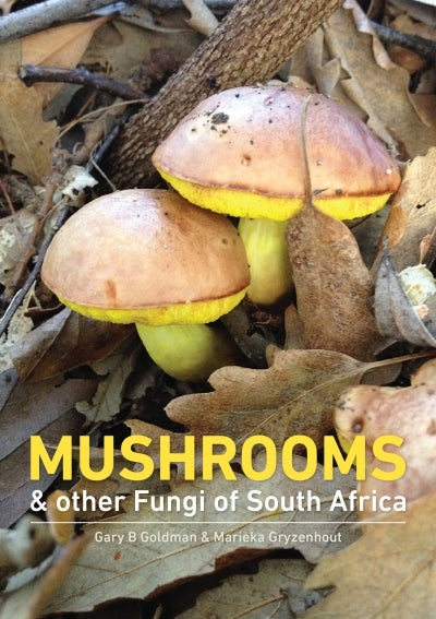 Mushrooms and other Fungi of South Africa
