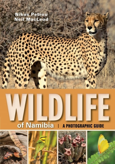 Wildlife Of Namibia