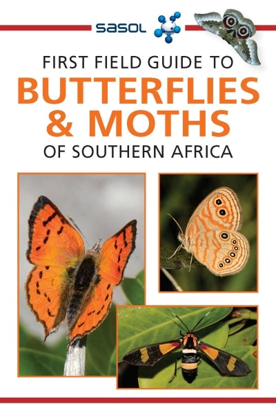First Field Guide to Butterflies & Moths of Southern Africa