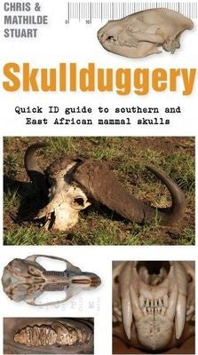 Skullduggery