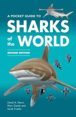 A Pocket Guide To Sharks Of The World