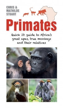 Primates : Quick ID Guide to Africa's Great Apes, True Monkeys and Their Relatives