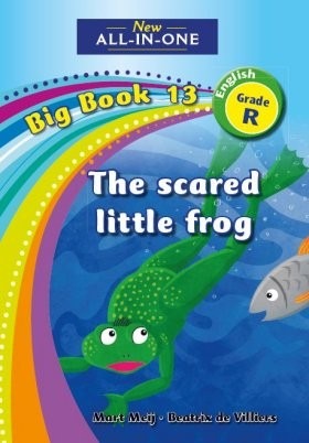 New All-in-One English HL Grade R Big Book 13: The scared little frog