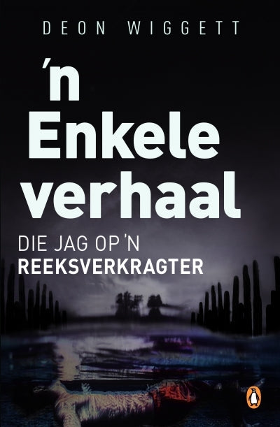 `n Enkele verhaal