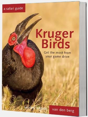Kruger Birds